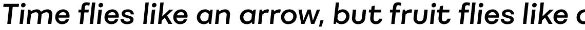 Fibra SemiBold Italic