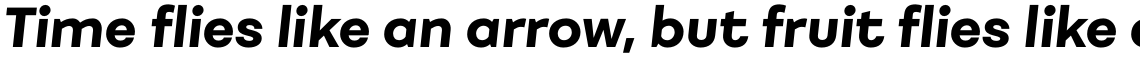 Fibra UltraBold Italic