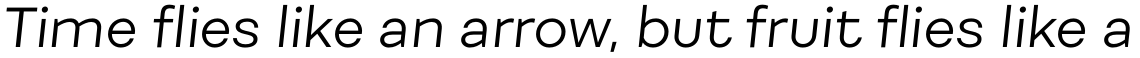 Fibra Alt Light Italic