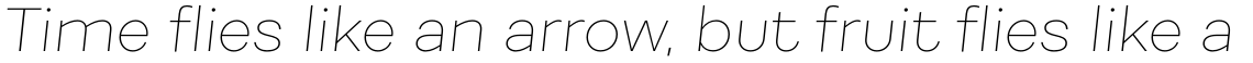 Fibra Alt Thin Italic