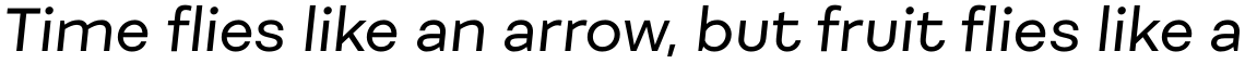 Fibra Alt Regular Italic
