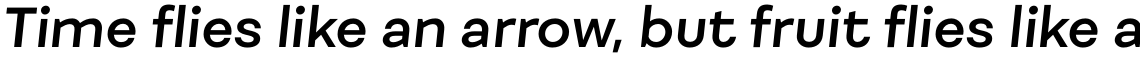 Fibra Alt SemiBold Italic