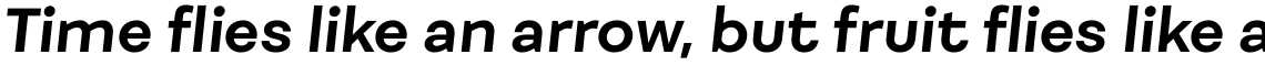 Fibra Alt Bold Italic