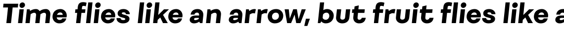 Fibra Alt UltraBold Italic