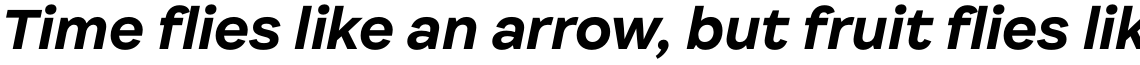 Internacional Bold Italic