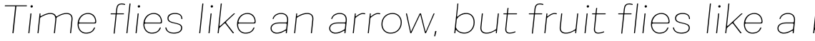 Fibra One Thin Italic