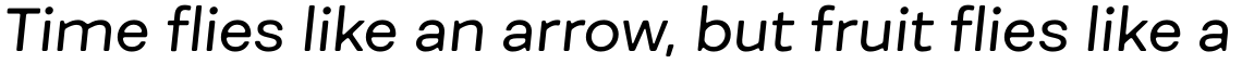 Fibra One Regular Italic