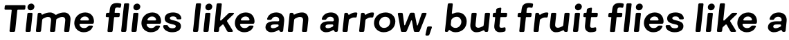 Fibra One Bold Italic