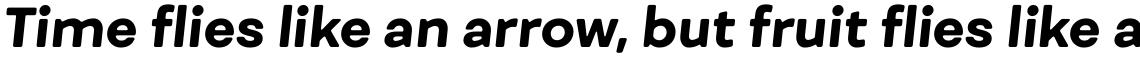 Fibra One UltraBold Italic