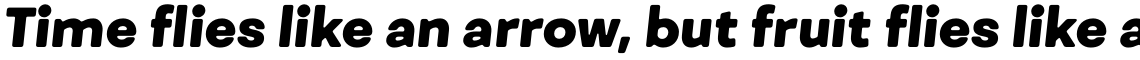Fibra One Heavy Italic