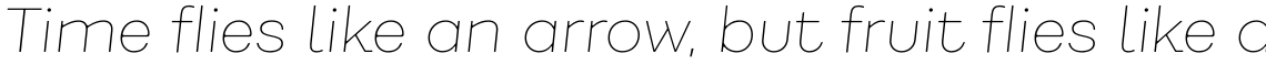 Fibra One Alt Thin Italic