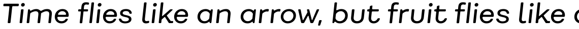 Fibra One Alt Regular Italic