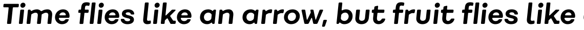 Fibra One Alt Bold Italic