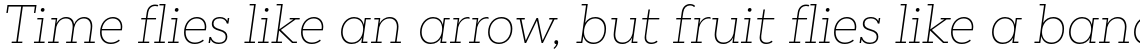 Peckham ExtraLight Italic