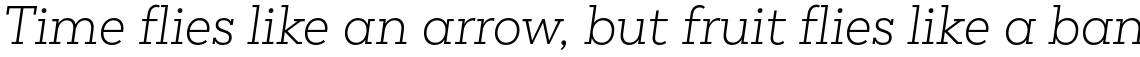 Peckham Light Italic