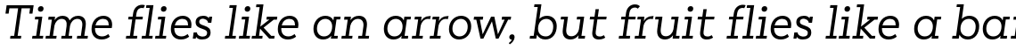 Peckham Regular Italic