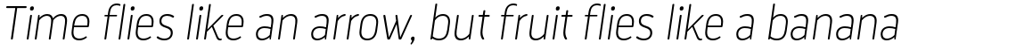 Darwin Rounded Essential Alt Thin Italic