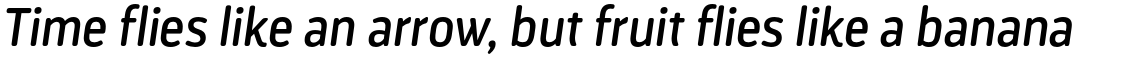 Darwin Rounded Essential Alt Regular Italic