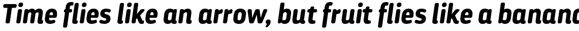 Darwin Rounded Essential Bold Italic