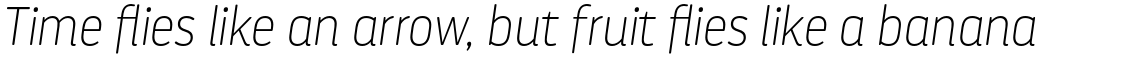 Darwin Rounded Pro Thin Italic