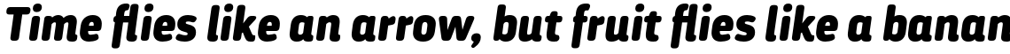 Darwin Rounded Pro Black Italic