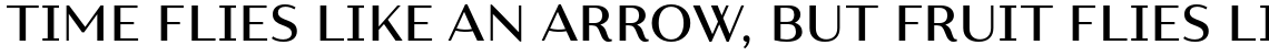 Resort Sans Regular