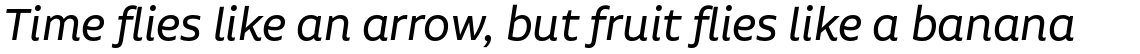 Aalto Sans Essential Regular Italic