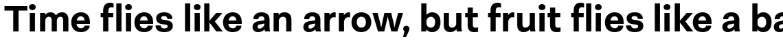 Neogrotesk Essential Family