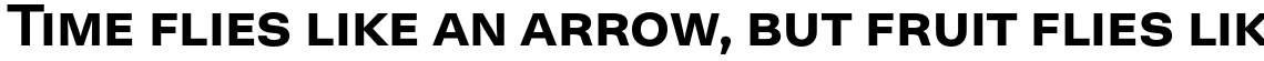 Neogrotesk Small Caps Family