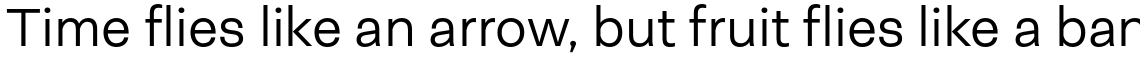 Neogrotesk Essential Light