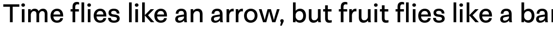 Neogrotesk Essential Regular