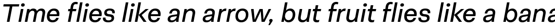 Neogrotesk Essential Regular Italic