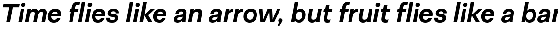 Neogrotesk Essential Bold Italic