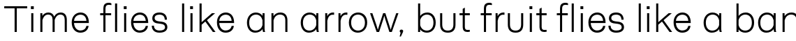 Neogrotesk Essential Alt UltraLight