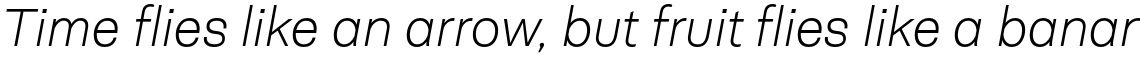 Neogrotesk Essential Alt UltraLight Italic