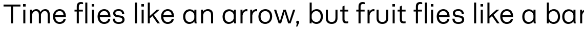 Neogrotesk Essential Alt Light
