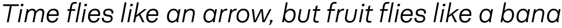 Neogrotesk Essential Alt Light Italic