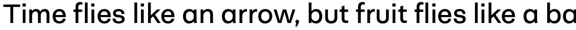 Neogrotesk Essential Alt Regular