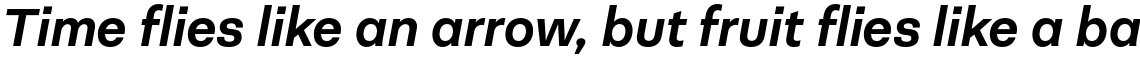 Neogrotesk Essential Alt Bold Italic