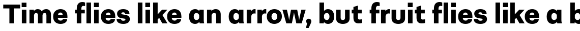 Neogrotesk Essential Alt Black