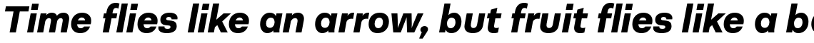 Neogrotesk Essential Alt Black Italic