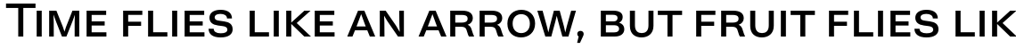 Neogrotesk SmallCaps Regular
