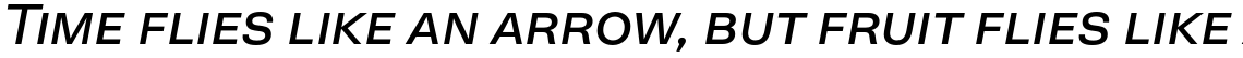 Neogrotesk SmallCaps Regular Italic