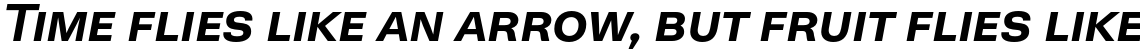 Neogrotesk SmallCaps Bold Italic