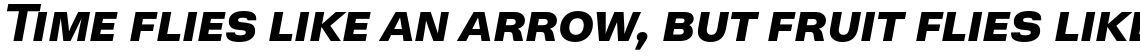 Neogrotesk SmallCaps Black Italic