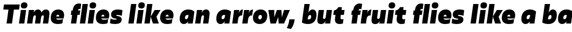 Olivetta Black Italic