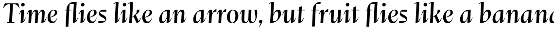 Abstract Regular Italic