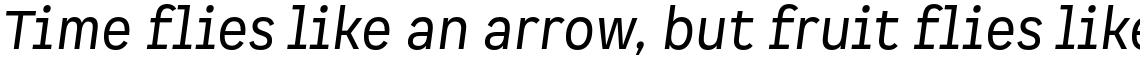 Spock Pro Regular Italic