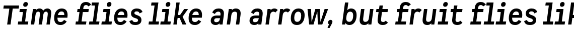 Spock Pro Bold Italic