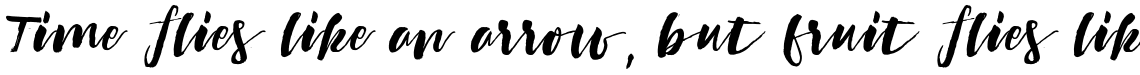Marylebone Script